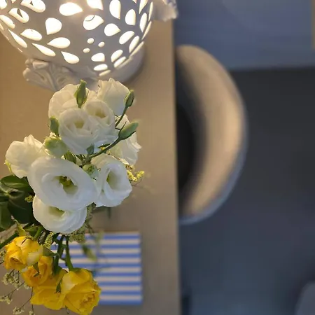 Bolina Luxury